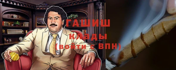 гашик Алексеевка