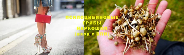 гашик Алексеевка
