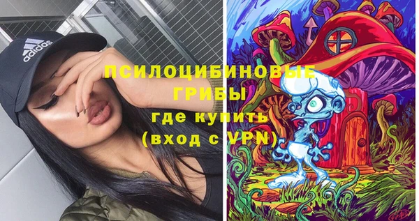 гашик Алексеевка