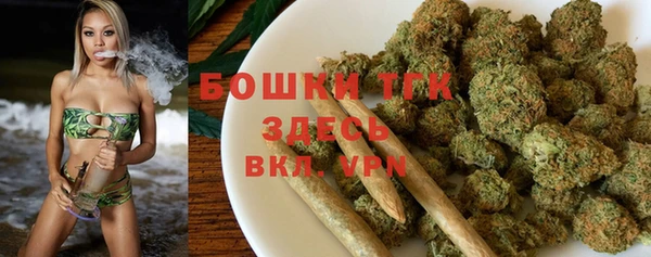 прущие крисы Алзамай