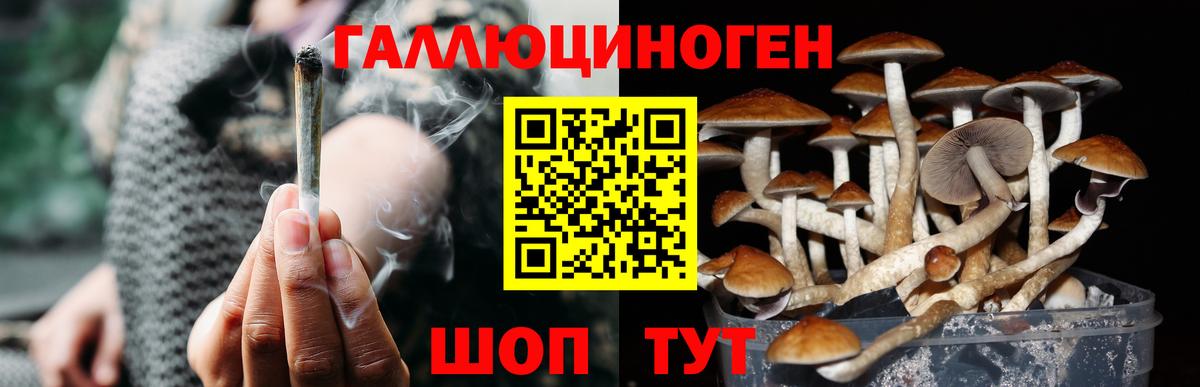 Керчь  Псилоцибиновые грибы мицелий  Вход с VPN 